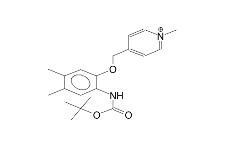 N-tert-butoxycarbonyl-2-(1-methylpyridinium-4-ylmethoxy)-4,5-dimethylaniline