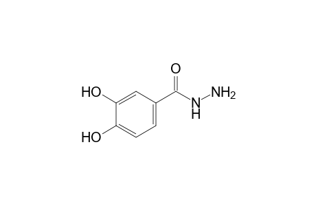 protocatechuic acid, hydrazide