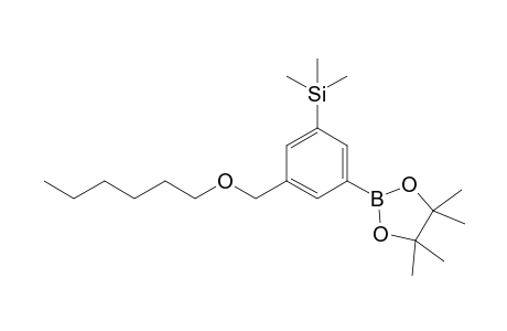 2-(3-Hexyloxymethyl-5-trimethylsilylphenyl)-4,4,5,5-tetramethyl[1,3,2]dioxaborolane