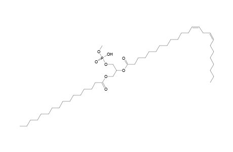 PMeOH 16:0_24:2