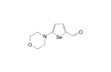 5-morpholin-4-ylselenophene-2-carbaldehyde