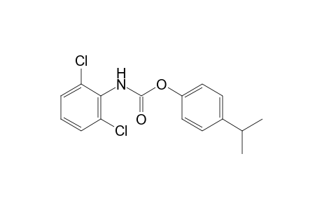 2,6-dichlorocarbanilic acid, p-cumenyl ester