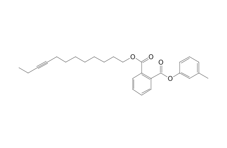 Phthalic acid, dodec-9-yn-1-yl 3-methylphenyl ester