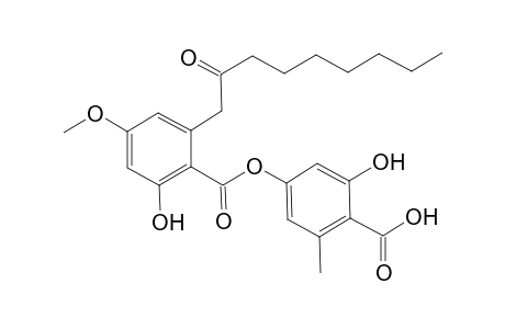 isopatagonic acid