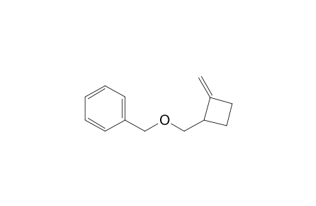 (2-Methylidenecyclobutyl)methoxymethylbenzene