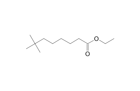 Ethyl 7,7-Dimethyloctanoate