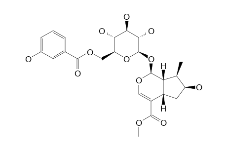 6'-O-META-HYDROXYBENZOYL-LOGANIN