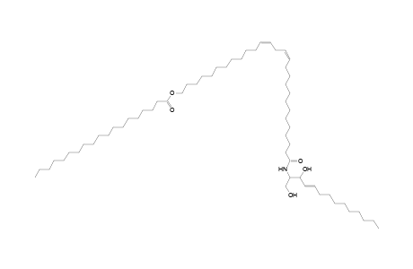 Cer 14:1;2O/28:2;O(FA 19:0)