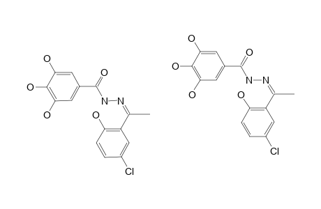 N-[1-(5-CHLORO-2-HYDROXYPHENYL)-ETHYLIDENE]-3,4,5-TRIHYDROXYBENZOHYDRAZIDE