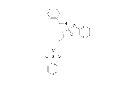 N-[3-[(benzylamino)-(phenoxy)phosphoryl]oxypropyl]-4-methyl-benzenesulfonamide