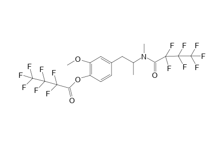 MDMA-M (demethylenyl-methyl-) 2HFB