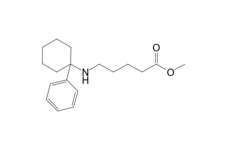 Methyl 5-N-[(1-Phenylcyclohexyl)amino]pentanoate