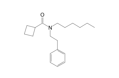 Cyclobutanecarboxamide, N-(2-phenylethyl)-N-hexyl-