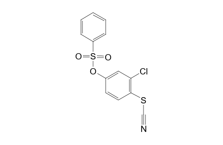 BENZENESULFONIC ACID, 3-CHLORO-4-THIOCYANATOPHENYL ESTER