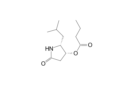 cis(+-)-Butyric Acid 2-Isobutyl-5-oxopyrrolidin-3-yl Ester