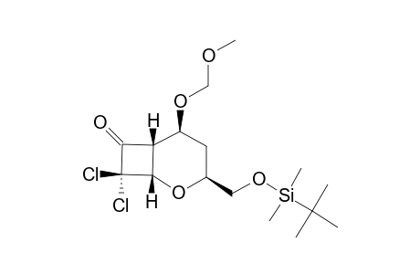 (1S,3S,5S,6S)-3-[(TERT.-BUTYLDIMETHYLSILOXY)-METHYL]-5-(METHOXYMETHOXY)-8,8-DICHLORO-2-OXA-BICYCLO-[4.2.0]-OCTAN-7-ONE