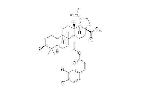 METHYL_27-O-CIS-CAFFEOYL-CYLICODISCATE