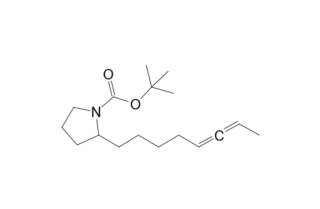 2-[(1-Propenylidene)pentyl]-1-pyrrolidinecarboxylic acid 1,1-Dimethylethyl ester