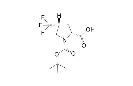 (2R,4R)-N-(1,1-Dimethyl)ethoxycarbonyl]-4-trifluoromethyl-D-proline
