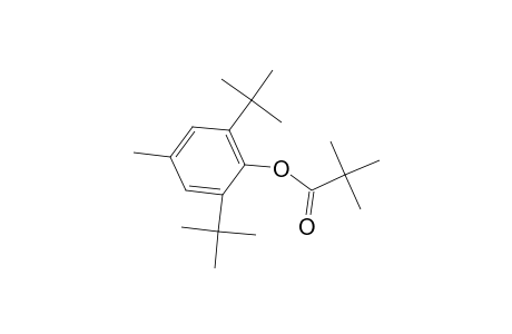 Propanoic acid, 2,2-dimethyl-, 2,6-bis(1,1-dimethylethyl)-4-methylphenyl ester