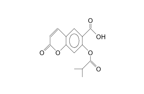 6-Carboxy-7-isobutyryloxy-coumarin
