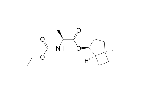 (1'R,2S,2'S,5'R)-2-[(Ethoxycarbonyl)amino]propionic acid 5-methylbicyclo[3.2.0]hept-2-yl ester