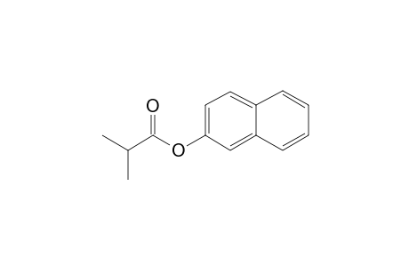 2-Methylpropionic acid, 2-naphthyl ester