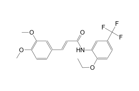 (2E)-3-(3,4-dimethoxyphenyl)-N-[2-ethoxy-5-(trifluoromethyl)phenyl]-2-propenamide