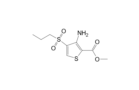 3-amino-4-(propylsulfonyl)-2-thiophenecarboxylic acid, methyl ester