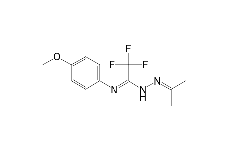 2,2,2-trifluoro-N'-(4-methoxyphenyl)-N-(propan-2-ylideneamino)ethanimidamide