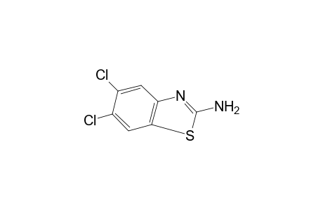 2-AMINO-5,6-DICHLOROBENZOTHIAZOLE