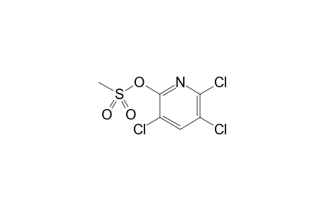 3,5,6-Trichloropyridin-2-yl methanesulfonate