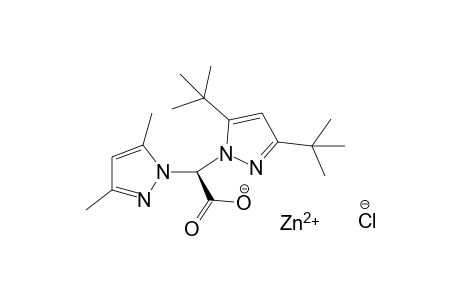 zinc(II) (S)-2-(3,5-di-tert-butyl-1H-pyrazol-1-yl)-2-(3,5-dimethyl-1H-pyrazol-1-yl)acetate chloride