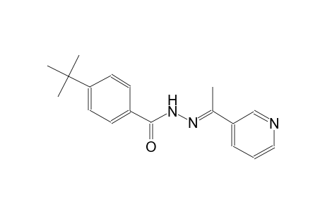 4-tert-butyl-N'-[(E)-1-(3-pyridinyl)ethylidene]benzohydrazide