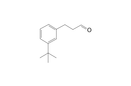 3-(3-tert-butylphenyl)propanal
