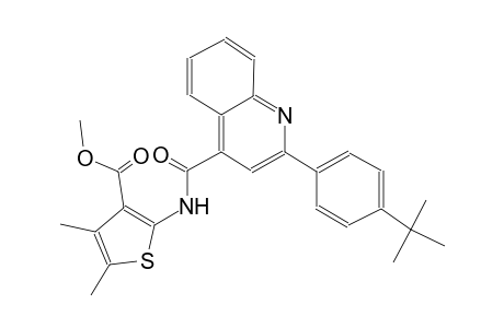 methyl 2-({[2-(4-tert-butylphenyl)-4-quinolinyl]carbonyl}amino)-4,5-dimethyl-3-thiophenecarboxylate