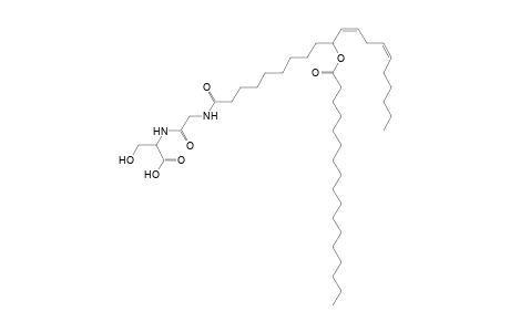 NAGlySer 17:0/20:2
