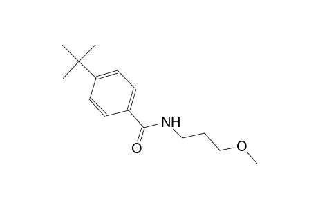 benzamide, 4-(1,1-dimethylethyl)-N-(3-methoxypropyl)-
