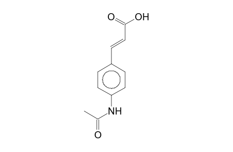 (2E)-3-[4-(acetylamino)phenyl]-2-propenoic acid