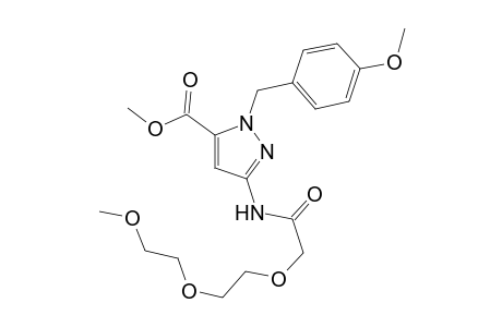2-(4-Methoxybenzyl)-5-{2-[2-(2-methoxyethoxy)ethoxy]acetylamino}-2H-pyrazole-3-carboxylic acid methyl ester
