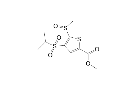 Thiophene-2-carboxylic acid, 4-isopropylsulfonyl-5-methylsulfinyl-, methyl ester