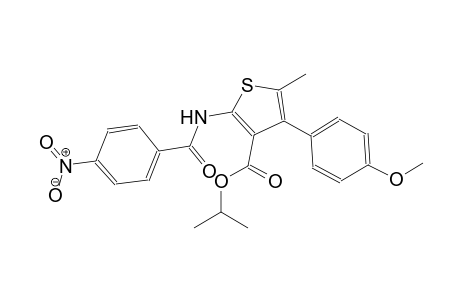 isopropyl 4-(4-methoxyphenyl)-5-methyl-2-[(4-nitrobenzoyl)amino]-3-thiophenecarboxylate