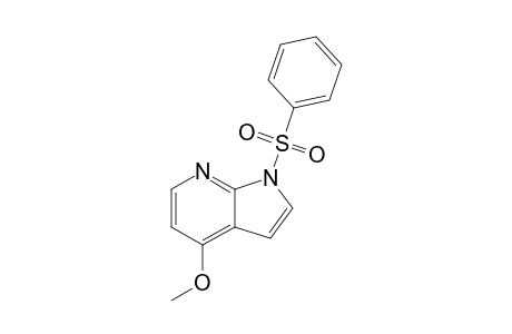 4-Methoxy-1-(phenylsulfonyl)pyrrolo[2,3-b]pyridine