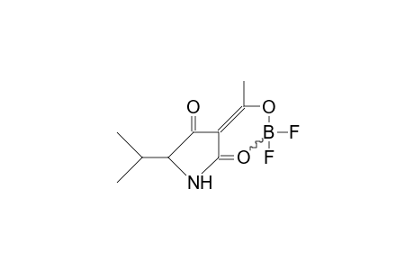 3-(1-<Difluoroboryloxy>-ethylidene)-5-isopropyl-pyrrolidine-2,4-dione