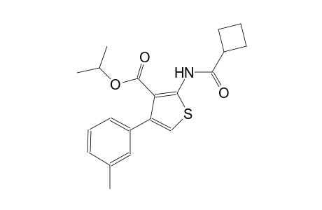 isopropyl 2-[(cyclobutylcarbonyl)amino]-4-(3-methylphenyl)-3-thiophenecarboxylate