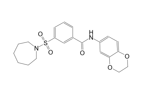 3-(1-azepanylsulfonyl)-N-(2,3-dihydro-1,4-benzodioxin-6-yl)benzamide