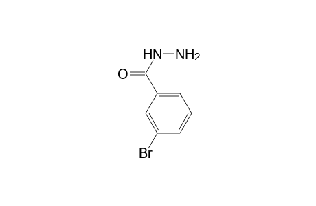 3-Bromobenzohydrazide