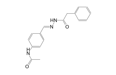 benzeneacetic acid, 2-[(E)-[4-(acetylamino)phenyl]methylidene]hydrazide