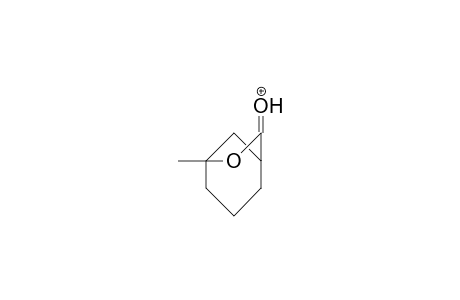 3-Methyl-cyclohexanecarboxylic acid, 1,3-lactone cation