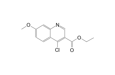 3-quinolinecarboxylic acid, 4-chloro-7-methoxy-, ethyl ester